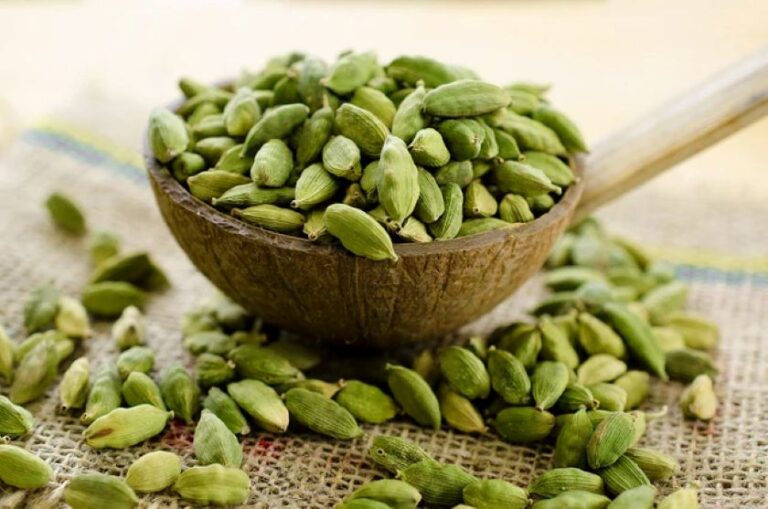 Cardamom deep dive